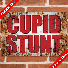 Load image into Gallery viewer, CUPID STUNT 30cm x 20cm METAL SIGNS