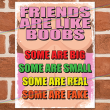 Load image into Gallery viewer, FRIENDS ARE LIKE BOOBS METAL SIGNS
