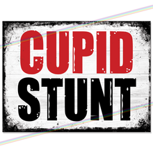 Load image into Gallery viewer, CUPID STUNT METAL SIGNS