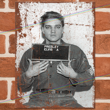 Load image into Gallery viewer, ELVIS PRESLEY (MUGSHOT) MUSIC METAL SIGNS