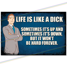Load image into Gallery viewer, LIFE IS LIKE A DICK 30cm x 20cm METAL SIGNS
