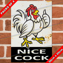 Load image into Gallery viewer, NICE COCK 30cm x 20cm METAL SIGNS
