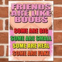 Load image into Gallery viewer, FRIENDS ARE LIKE BOOBS METAL SIGNS
