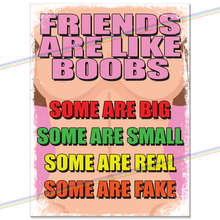 Load image into Gallery viewer, FRIENDS ARE LIKE BOOBS METAL SIGNS
