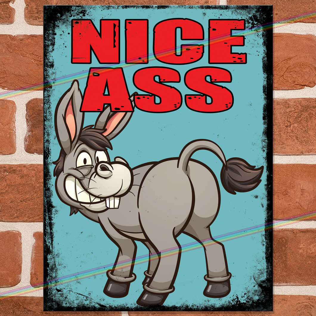 NICE ASS METAL SIGNS