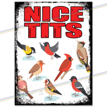 Load image into Gallery viewer, NICE TITS METAL SIGNS
