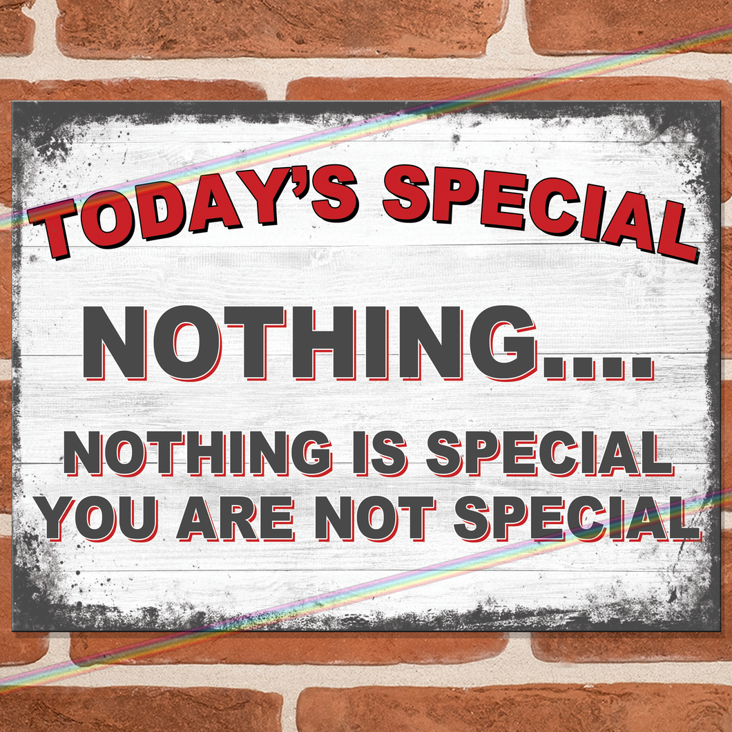 YOU ARE NOT SPECIAL METAL SIGNS